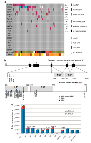 全外顯子組測(cè)序研究結(jié)果