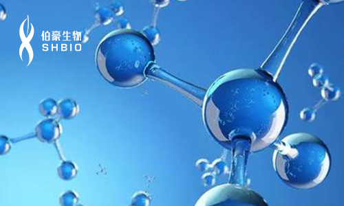 2019 生命組學技術(shù)與轉(zhuǎn)化前沿論壇分子診斷技術(shù)與臨床應(yīng)用新趨勢