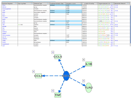 圖中表達(dá)預(yù)測差異基因的上游的轉(zhuǎn)錄調(diào)控因子
