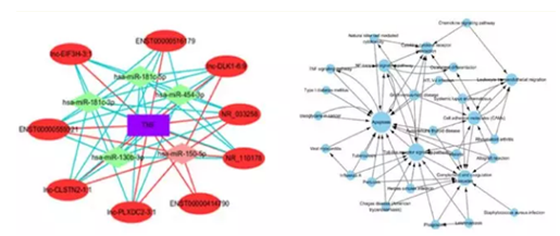 QQ 截圖 20191204145556