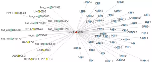 QQ 截圖 20191204150331
