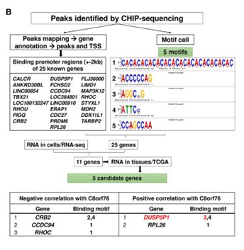 QQ 截圖 20191204143943