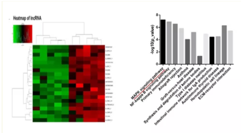 QQ 截圖 20191204150619