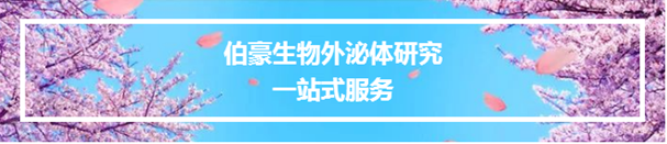 QQ 截圖 20191204140227