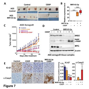 QQ 截圖 20191204141119