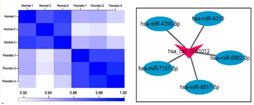 QQ 截圖 20191204150044