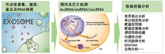 QQ 截圖 20191204140241