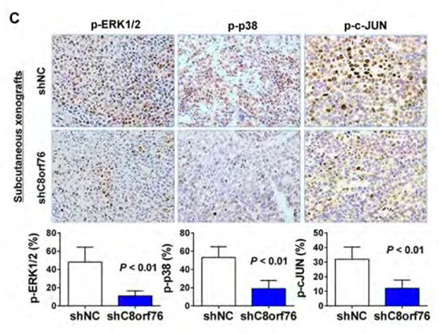 QQ 截圖 20191204143814