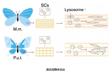 QQ 截圖 20191204143022