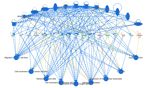 通過轉(zhuǎn)錄因子調(diào)控的基因計算出調(diào)控基因影響的功能。