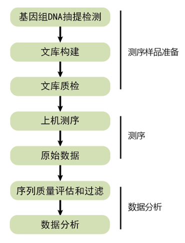全基因組重測(cè)序項(xiàng)目流程