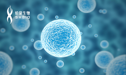 圓滿召開 | 第二屆單細胞測序技術(shù)與應(yīng)用專題研討會