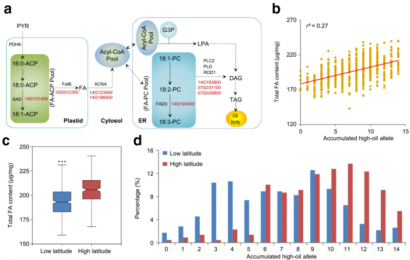 脂肪酸和脂代謝相關(guān)的基因