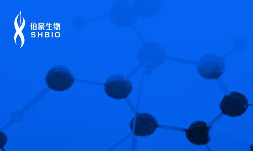 2019 巡回講座—伯豪生物解碼專屬您團隊的精彩講座！