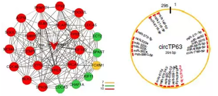 QQ 截圖 20191204145431