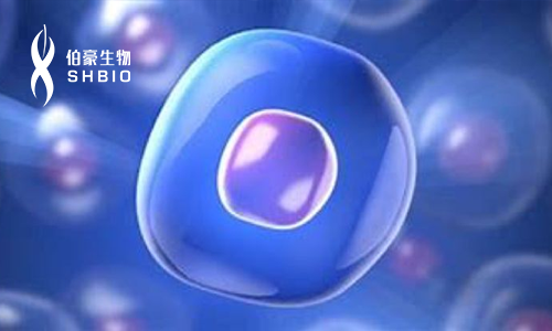 火熱報名 | 單細胞國自然培訓(xùn)班開班啦！