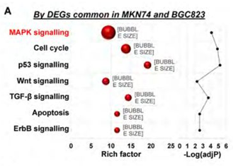 QQ 截圖 20191204143844