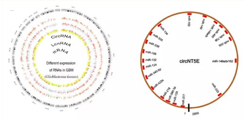 QQ 截圖 20191204145733