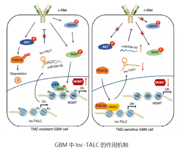 QQ 截圖 20191204141916