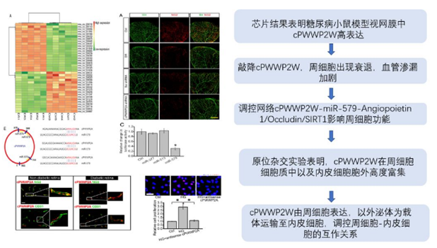 QQ 截圖 20191204142212