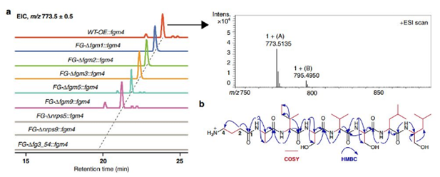 QQ 截圖 20191204144843