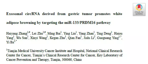QQ 截圖 20191204150125