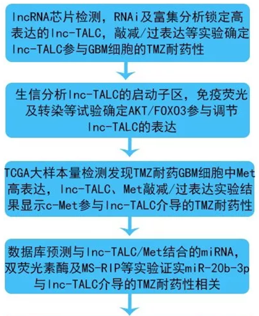 QQ 截圖 20191204141723