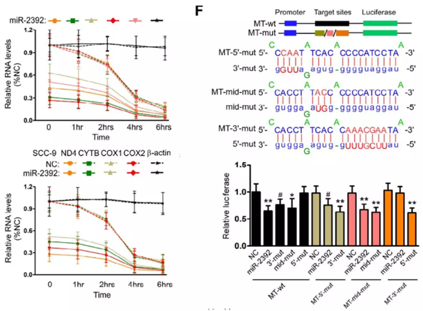 QQ 截圖 20191204135236