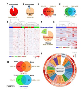 QQ 截圖 20191204140739