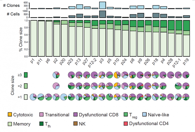圖 黑色素瘤中 T 細胞的克隆擴增