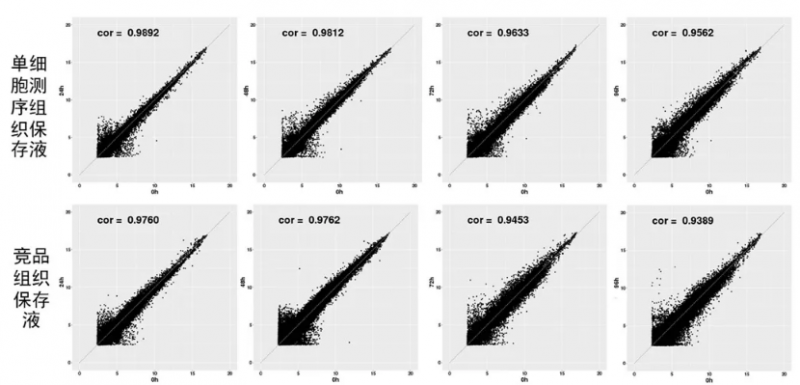 基因穩(wěn)定表達(dá)測試