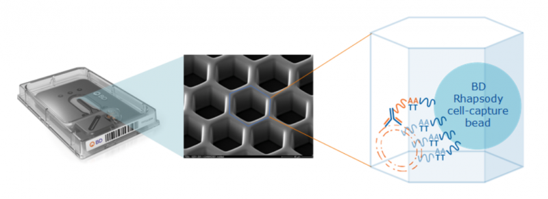 單細(xì)胞 mRNA 與蛋白同時測序