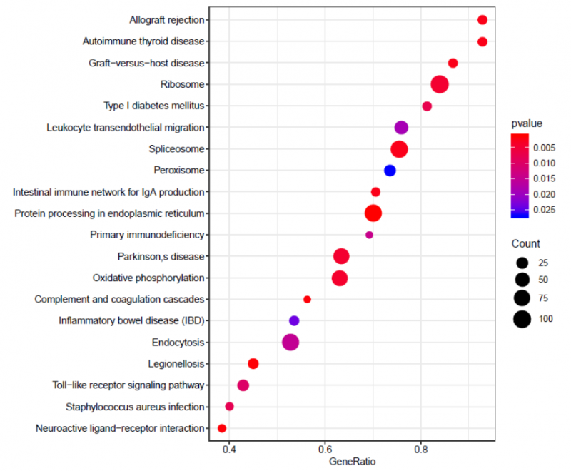 單細(xì)胞 RNA 測序細(xì)胞亞群的功能富集分析