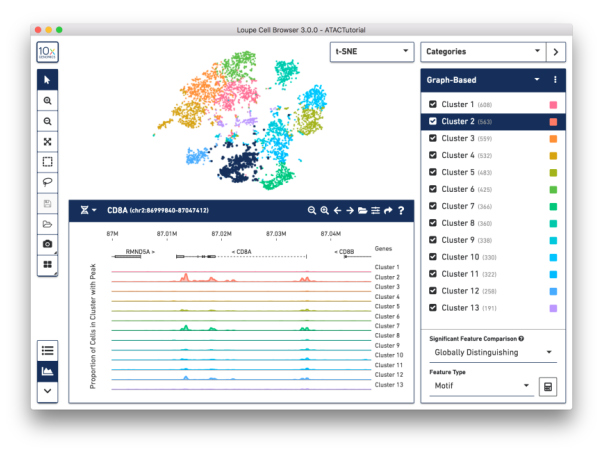 單細(xì)胞 ATAC 測序 Loupe 分析