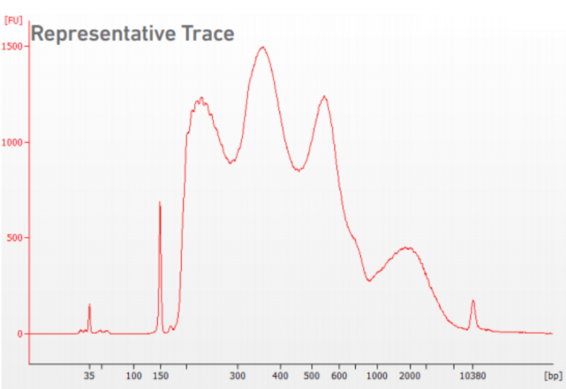 Agilent Bioanalyzer High Sensitivity DNA chip 質(zhì)檢結(jié)果圖