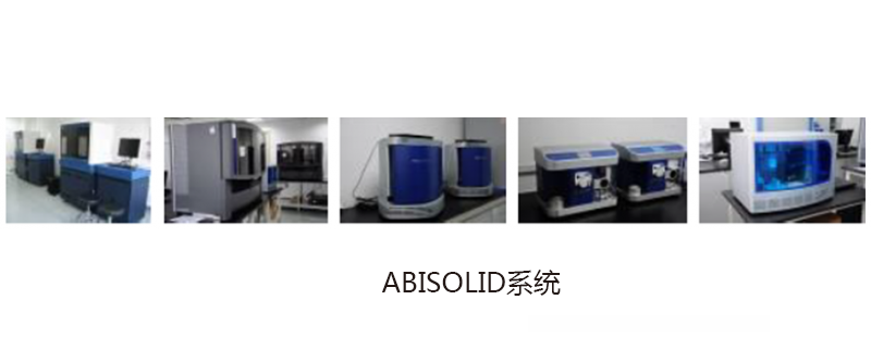 平臺(tái)大圖通用模板