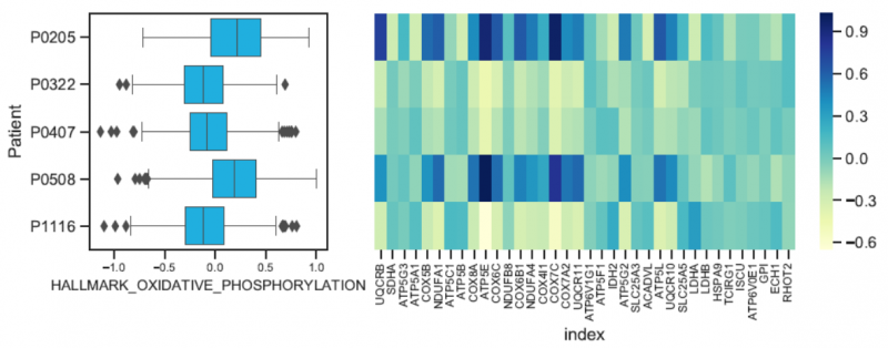 單細(xì)胞 RNA 測序樣本間的功能差異分析