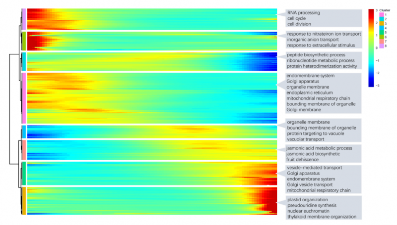 單細(xì)胞 RNA 測序擬時序 GO 注釋