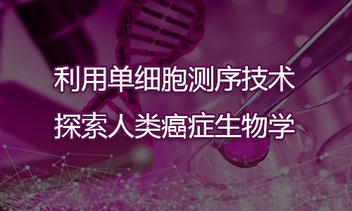 利用單細胞測序技術探索人類癌癥生物學