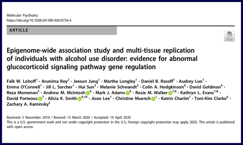 文獻集錦│5 月 DNA 甲基化研究新鮮速遞