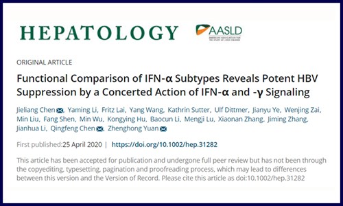 干貨！伯豪客戶高分文章詳解