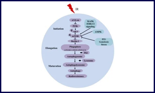 朝花夕拾 | 5 月客戶文獻(xiàn)集錦