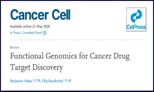 Cancer Cell 綜述?功能基因組學(xué)在癌癥藥物靶點(diǎn)篩選中的應(yīng)用