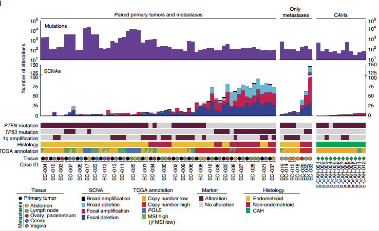  子宮內(nèi)膜癌進(jìn)展和盆腔轉(zhuǎn)移基因組圖譜進(jìn)化研究 