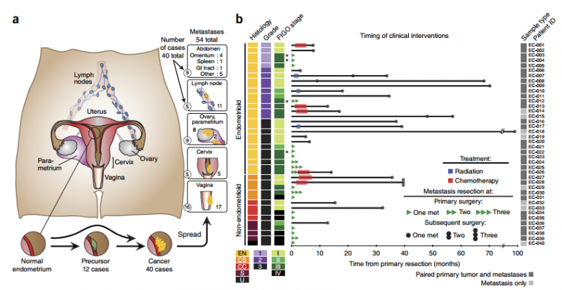 癌癥基因組圖譜