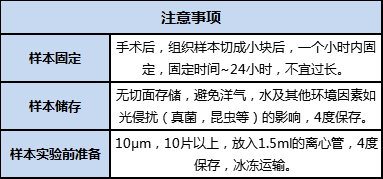 FFPE 樣本準(zhǔn)備、儲(chǔ)存及運(yùn)輸