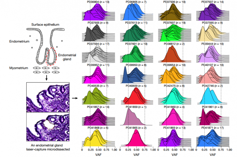  子宮內(nèi)膜樣本全基因組重測(cè)序 