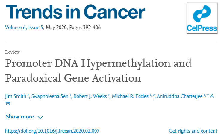 啟動(dòng)子 DNA 高甲基化促進(jìn)靶基因轉(zhuǎn)錄