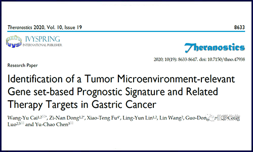 機(jī)器學(xué)習(xí)建模結(jié)合免疫浸潤分析探究胃癌患者預(yù)后及潛在治療靶點