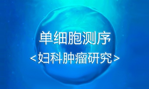 單細(xì)胞測序丨揭秘婦科腫瘤研究利器